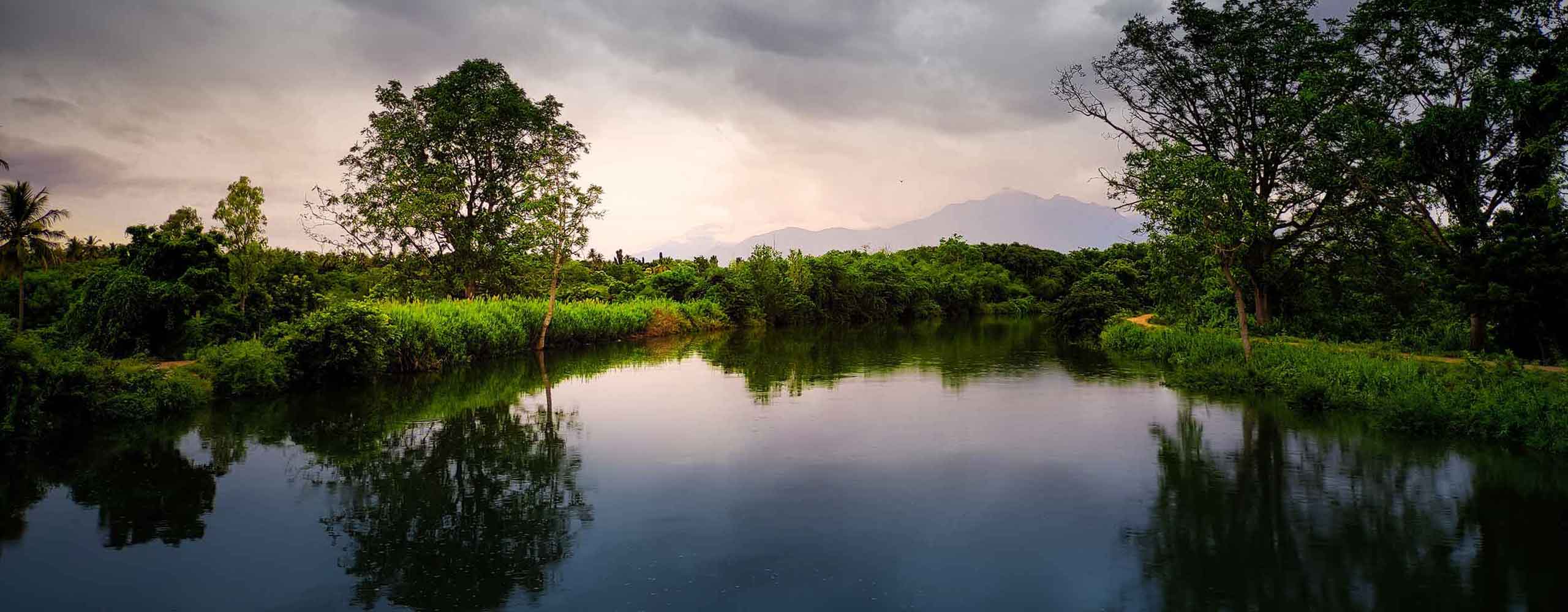 Pond at dusk